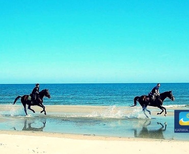 Jazda konno po plaży to doskonały pomysł na spędzenie wolnego czasu.