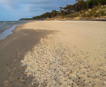 plaża między Karwią a Jastrzębią G&oacute;rą ok 30 min spacerem od Karwi. Już zaczynają się drobne kamyki...