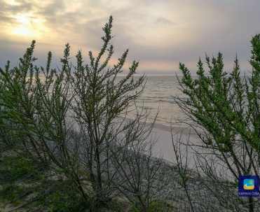 plaża między Karwią a Jastrzębią G&oacute;rą ok20  min spacerem od Karwi